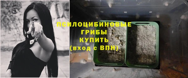 стаф Куйбышев