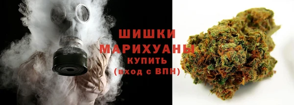 дурь Краснослободск