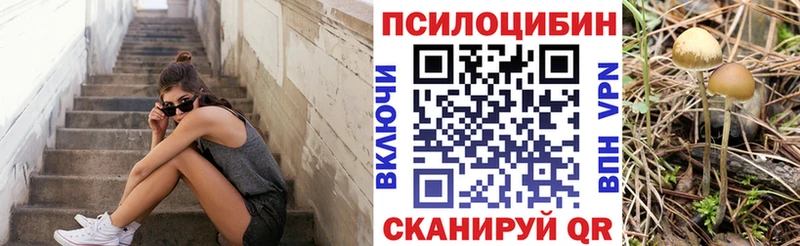 Купить закладки  Киров  Псилоцибиновые грибы Cubensis 